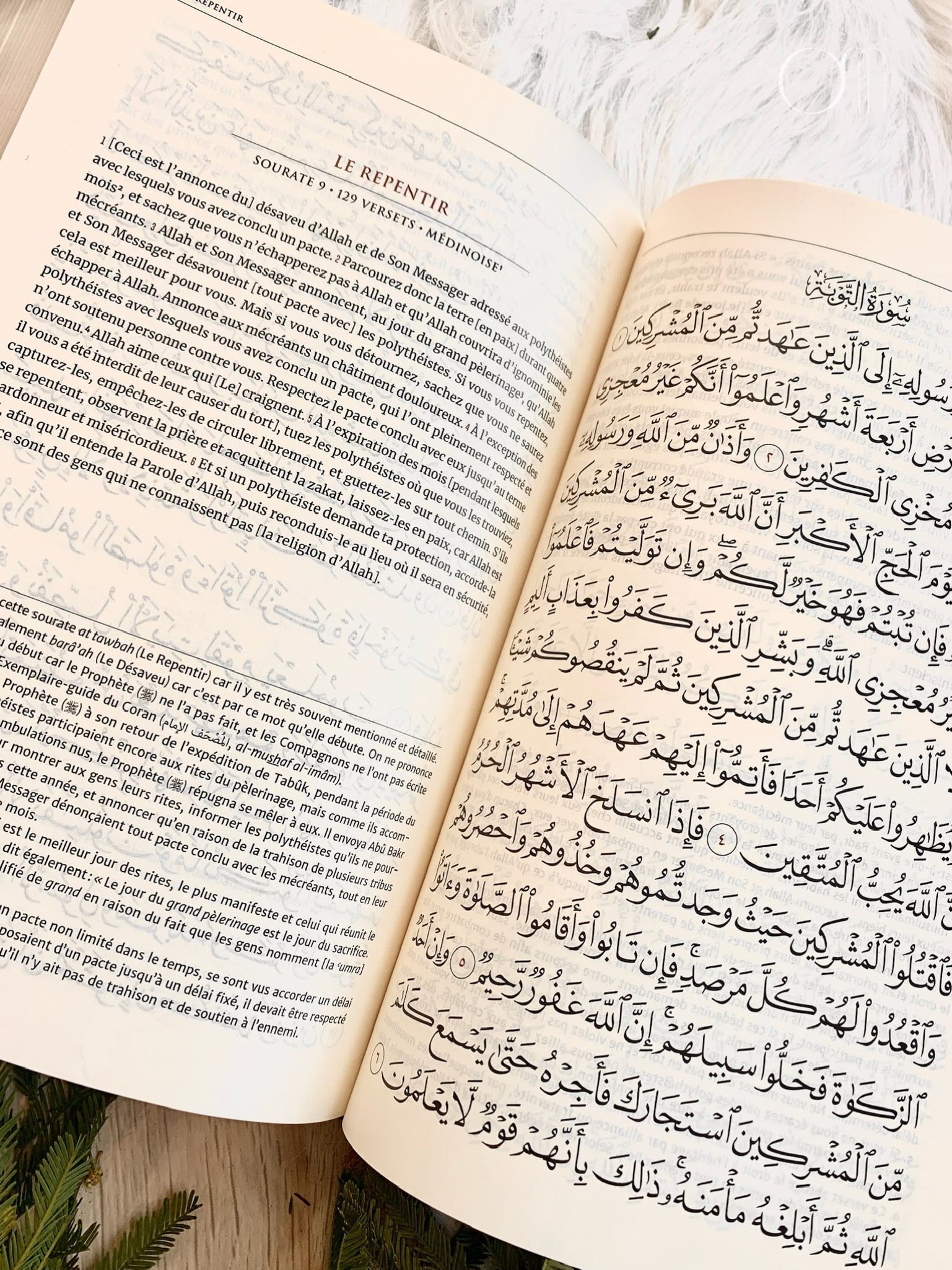 Le CORAN Et La Traduction Du Sens De Ses Versets (Arabe Français), Éditions Tawbah